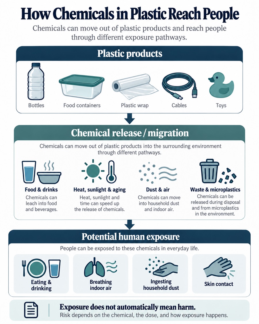 Flow diagram showing how chemicals from plastic products can reach people through food, drinks, indoor dust, air and skin contact.