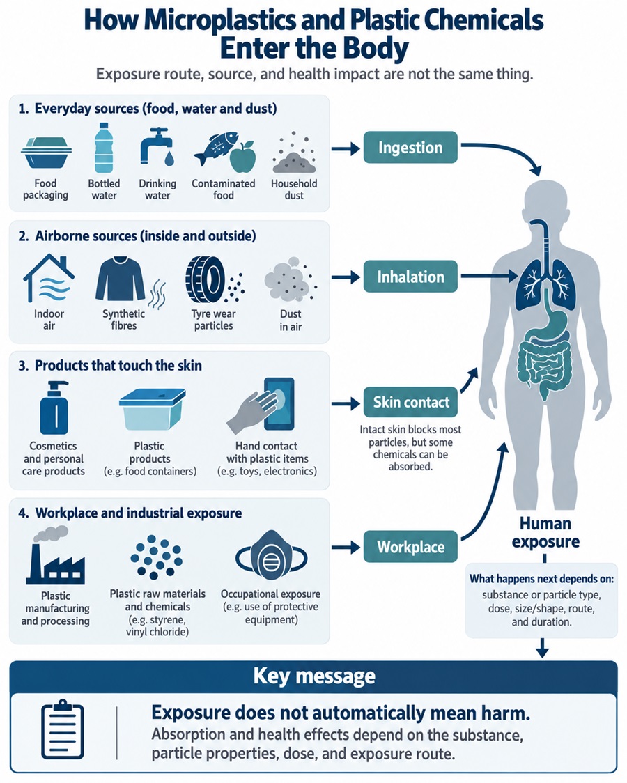 Flow diagram showing ingestion, inhalation, skin contact and workplace exposure pathways for plastic particles and chemicals.