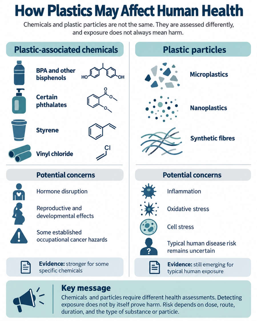 Infographic comparing plastic-associated chemicals and microplastics, their potential health effects, and differences in scientific evidence.